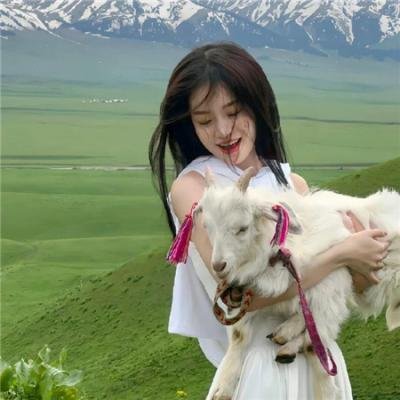 神秘博士第六季